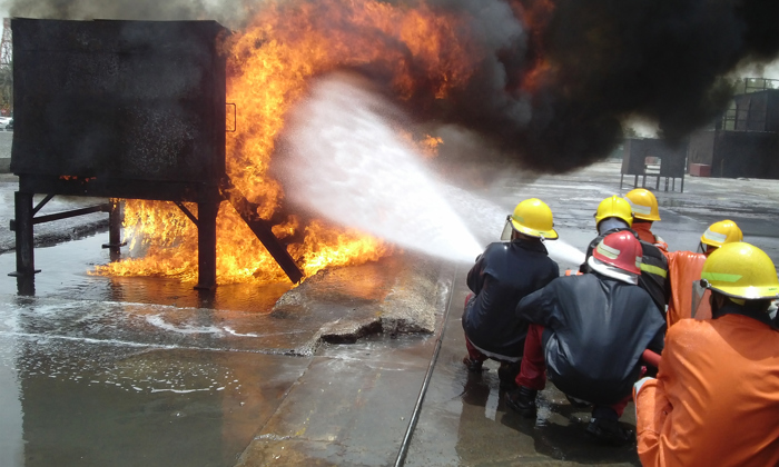 CAM00521 600Dpi 600Dpi