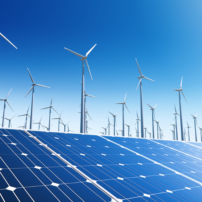 A large field of solar panels is placed in the foreground, with numerous wind turbines standing behind them under a clear blue sky. Both forms of renewable energy are depicted in the image.