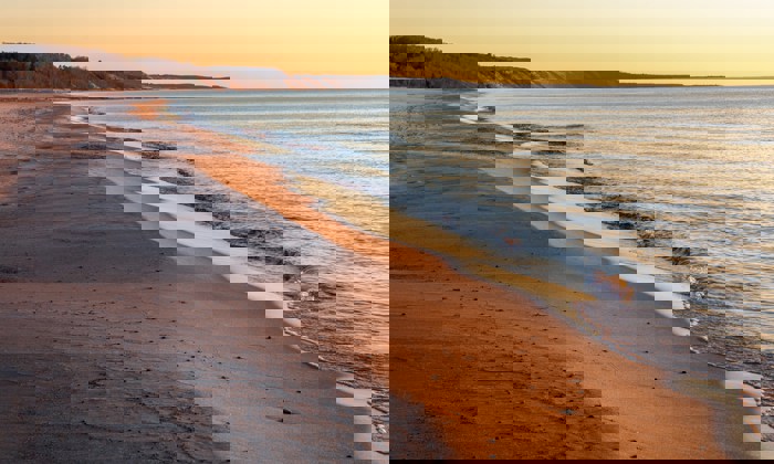 T0YBGATFG U1AHRHRXRU 9C87c138358d 512