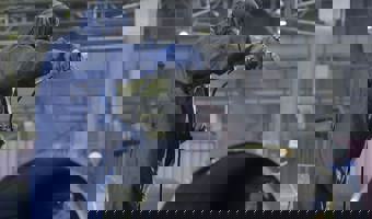 55-Revestimentos industriais à escala.jpg