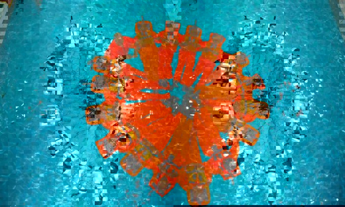 مجموعة من الأشخاص يرتدون بدلات برتقالية وسترات نجاة يشكلون دائرة أثناء طفوهم في حوض سباحة، من الأعلى.